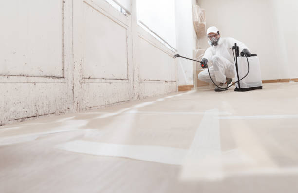24/7 Emergency Black Mold Remediation experts in California, PA